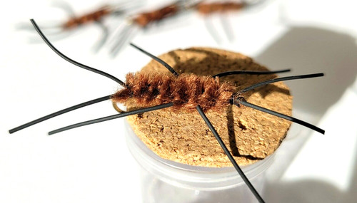 Girdle bug coffee - girdle,