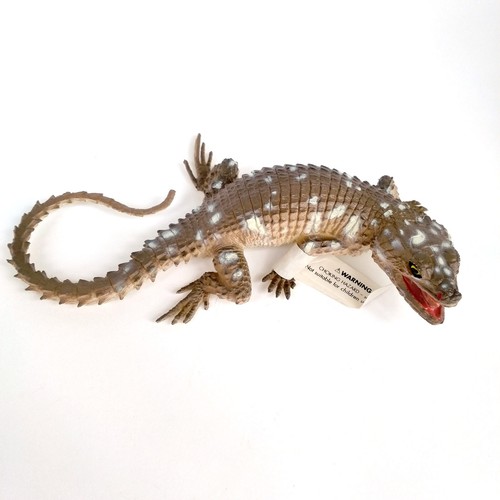 Girdle tail lizard - girdle-tail, aaa